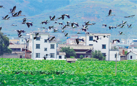 強(qiáng)化招商引資 推進(jìn)園區(qū)建設(shè)——訪市黨代表、工業(yè)園區(qū)主任李俊龍