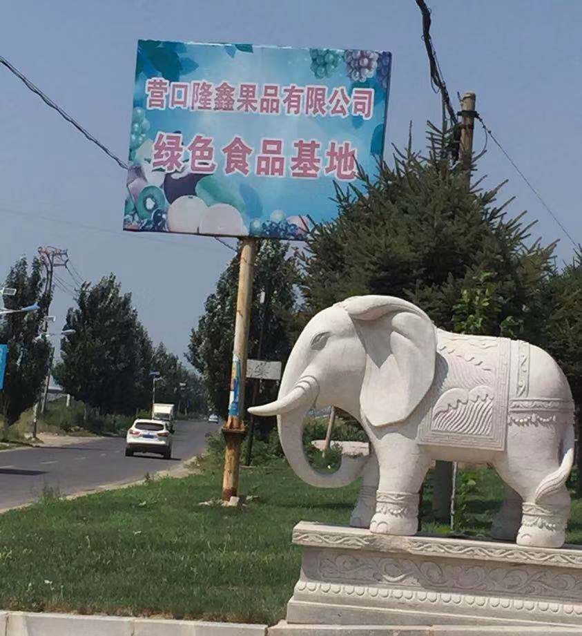 東北水果之鄉(xiāng)迎來發(fā)展新機遇，蓋州爭創(chuàng)省級現(xiàn)代農(nóng)業(yè)產(chǎn)業(yè)園