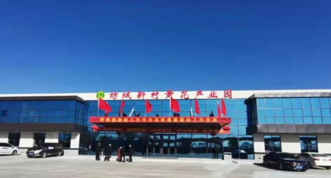 大同黃花，忘憂云州——云州區(qū)積極申創(chuàng)國家農(nóng)業(yè)現(xiàn)代化示范區(qū)